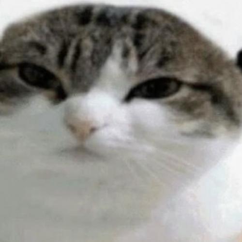 สมาชิกหมายเลข 7173547