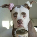 สมาชิกหมายเลข 5018308