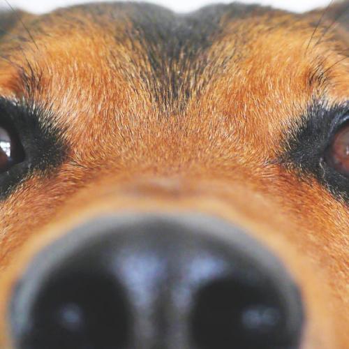 สมาชิกหมายเลข 1442630