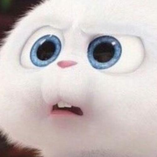 สมาชิกหมายเลข 5219713