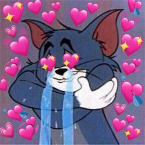 The Devil Wears Elephant Stars