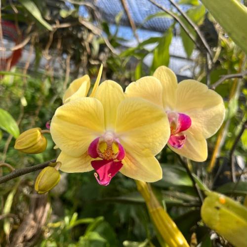 สมาชิกหมายเลข 3347366