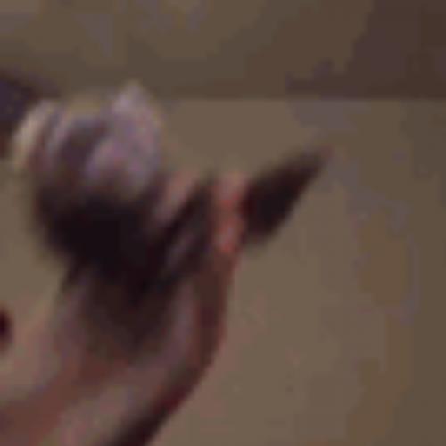 สมาชิกหมายเลข 6686539