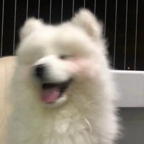 สมาชิกหมายเลข 6959738