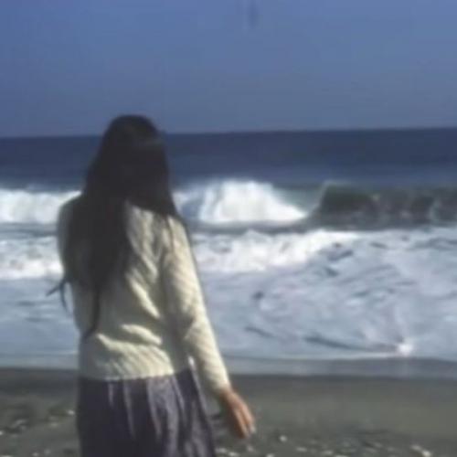 สมาชิกหมายเลข 7238290