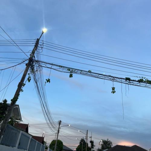 สมาชิกหมายเลข 8005425