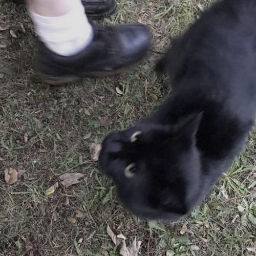 สมาชิกหมายเลข 8033906