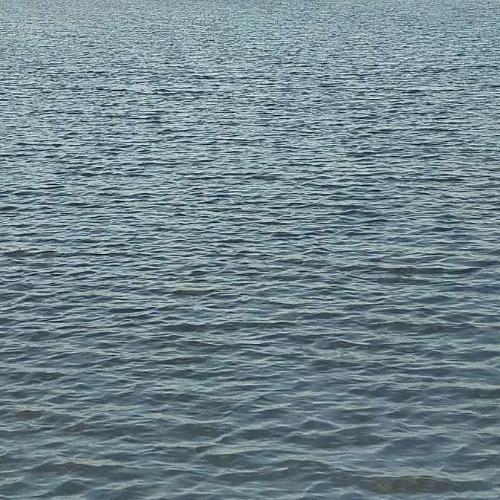 สมาชิกหมายเลข 8053978