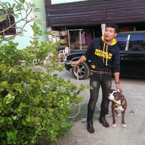 สมาชิกหมายเลข 3139233