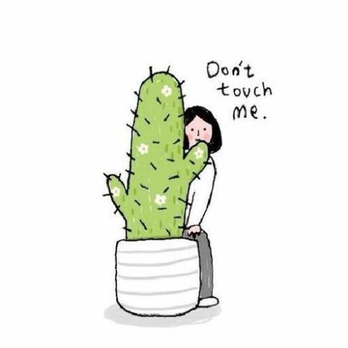 สมาชิกหมายเลข 5017425