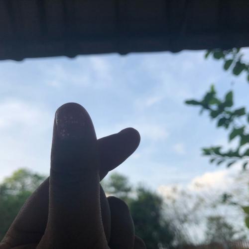 สมาชิกหมายเลข 5018596