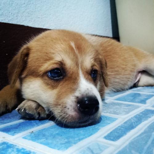 สมาชิกหมายเลข 5411934