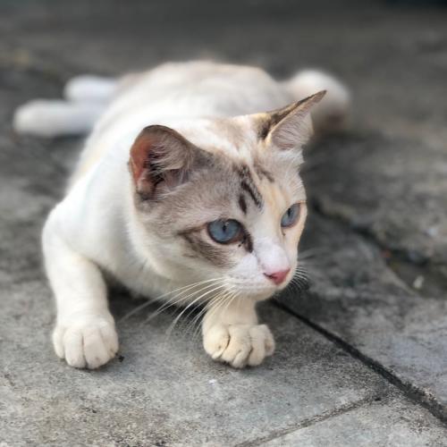 สมาชิกหมายเลข 5412050