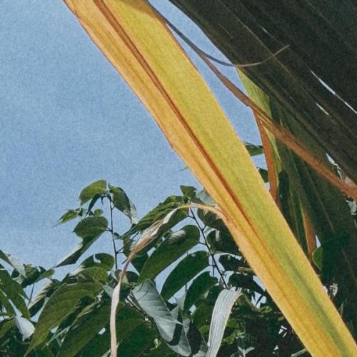 สมาชิกหมายเลข 4173171