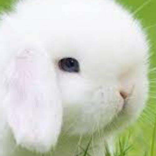 สมาชิกหมายเลข 6524253