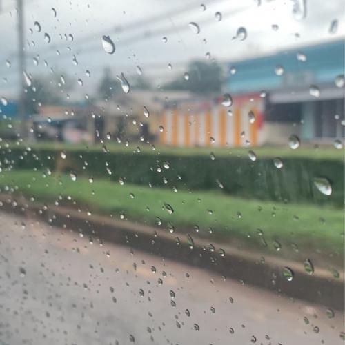 สมาชิกหมายเลข 2336045