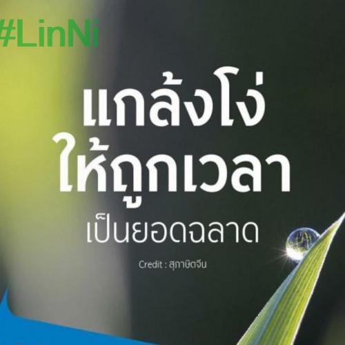 สมาชิกหมายเลข 4092490