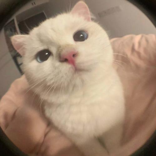 สมาชิกหมายเลข 7493027