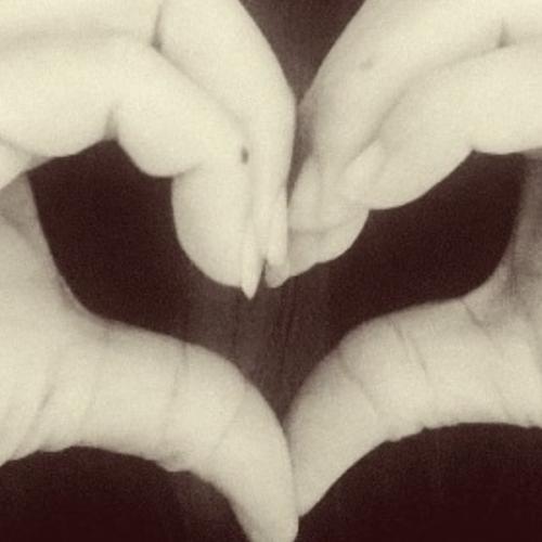 สมาชิกหมายเลข 8054687