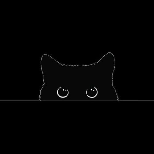 สมาชิกหมายเลข 8054972