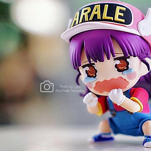 สมาชิกหมายเลข 4981071