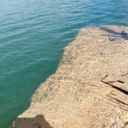 สมาชิกหมายเลข 5019110