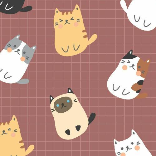 สมาชิกหมายเลข 5019277