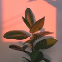 สมาชิกหมายเลข 2151819