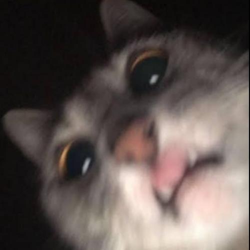 สมาชิกหมายเลข 5922075