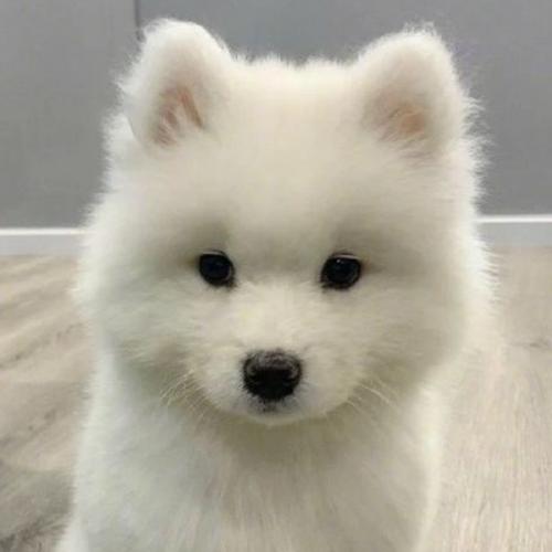 สมาชิกหมายเลข 7944568