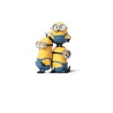 สมาชิกหมายเลข 1800146