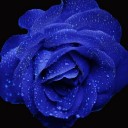 สมาชิกหมายเลข 4274539