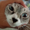 สมาชิกหมายเลข 4650477