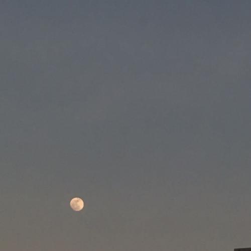 สมาชิกหมายเลข 5019624