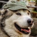 สมาชิกหมายเลข 5019660