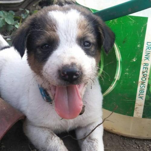 สมาชิกหมายเลข 4432916