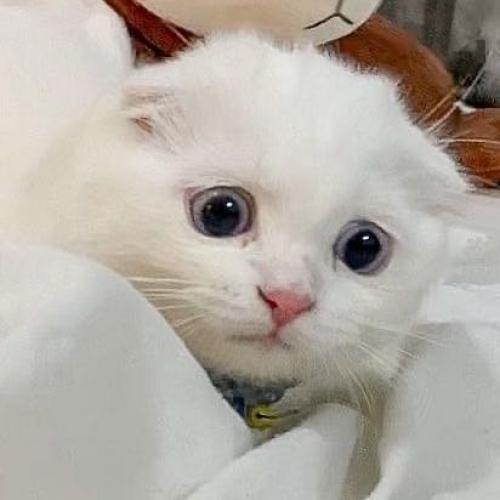 สมาชิกหมายเลข 5541490