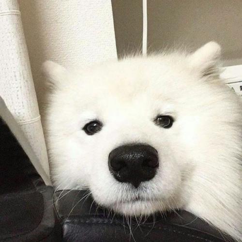 สมาชิกหมายเลข 5957346