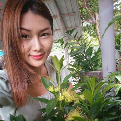 สมาชิกหมายเลข 7240914
