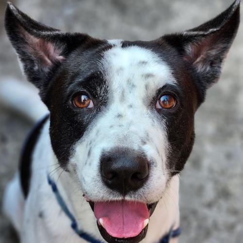 สมาชิกหมายเลข 5987088