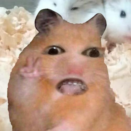 สมาชิกหมายเลข 7443476