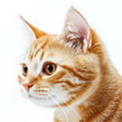 สมาชิกหมายเลข 7339484