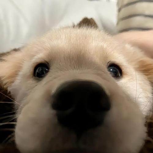 สมาชิกหมายเลข 9079405