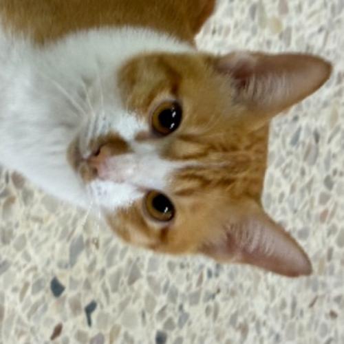 สมาชิกหมายเลข 9079521