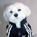 สมาชิกหมายเลข 3761096