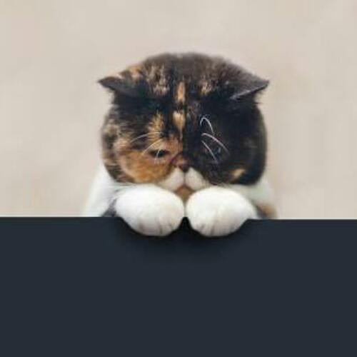 สมาชิกหมายเลข 4657155