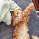 สมาชิกหมายเลข 1546291