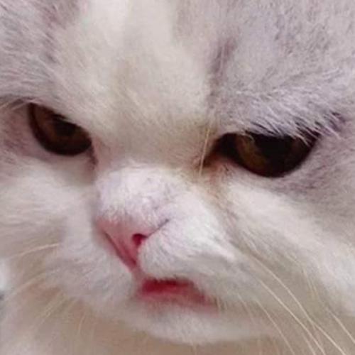 สมาชิกหมายเลข 5923133