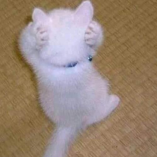 สมาชิกหมายเลข 5936321