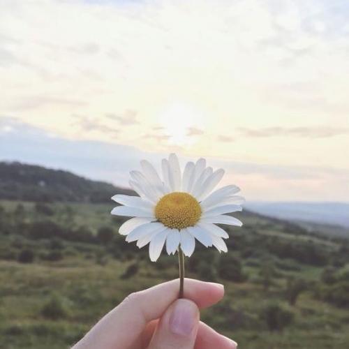 สมาชิกหมายเลข 7128262